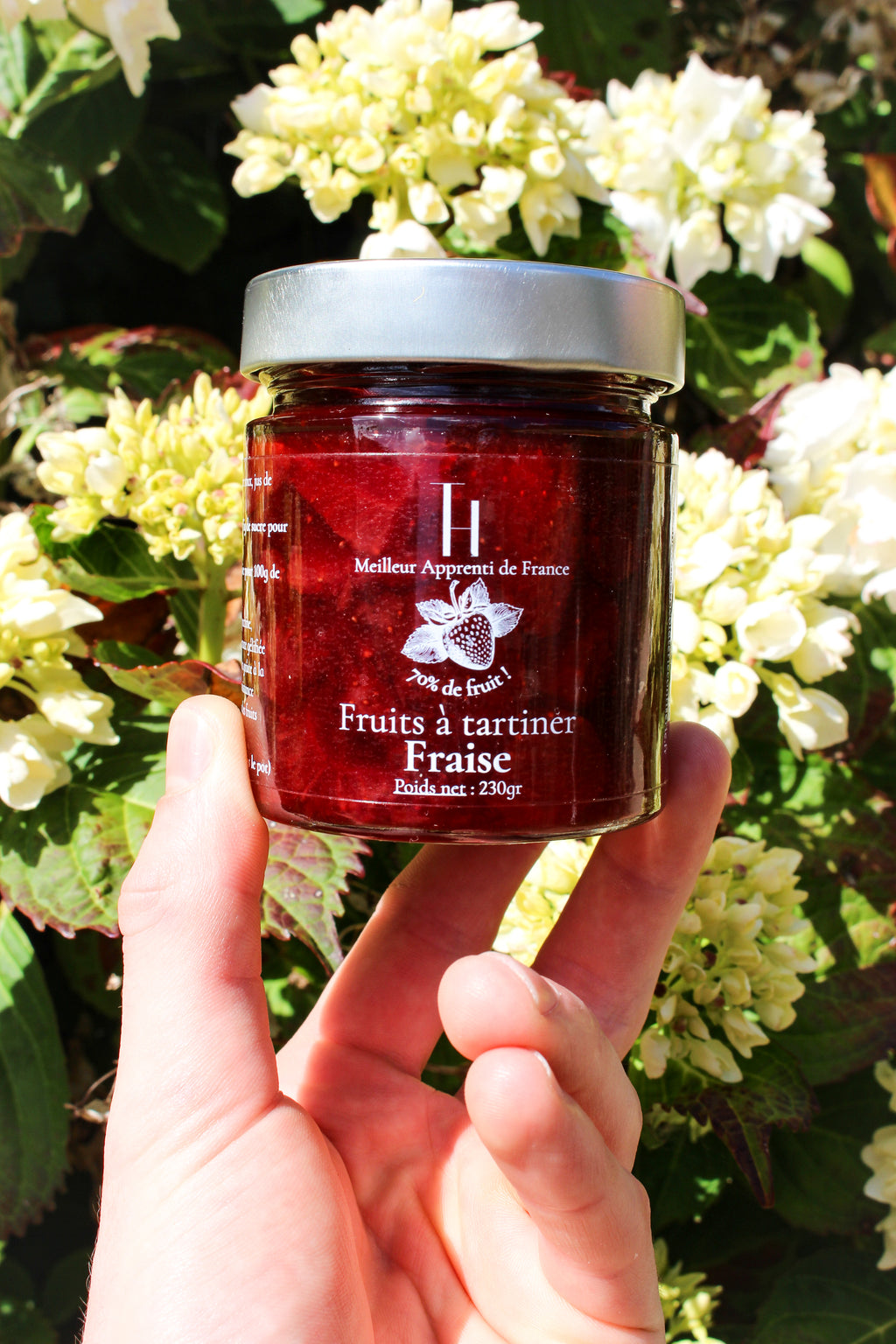 Fruits à tartiner Fraise 70%